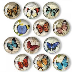 Butterfly Glass Fridge Magnets – Artistic Home & Office Décor Set (12pcs)
