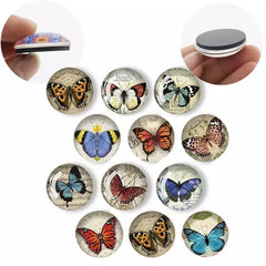 Butterfly Glass Fridge Magnets – Artistic Home & Office Décor Set (12pcs)