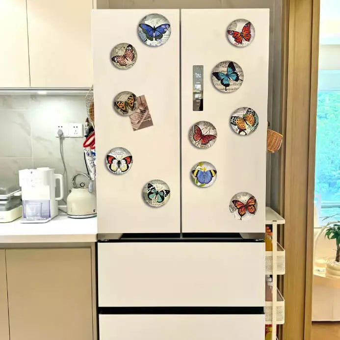 Butterfly Glass Fridge Magnets – Artistic Home & Office Décor Set (12pcs)